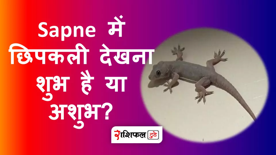 sapne me chipkali dekhna sapne me chipkali dekhna