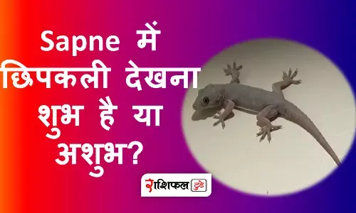 sapne me chipkali dekhna sapne me chipkali dekhna