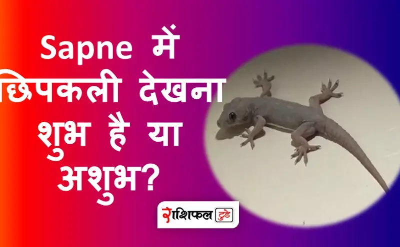 sapne me chipkali dekhna sapne me chipkali dekhna