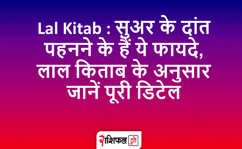 सुअर के दांत पहनने के हैं ये फायदे सुअर के दांत पहनने के हैं ये फायदे
