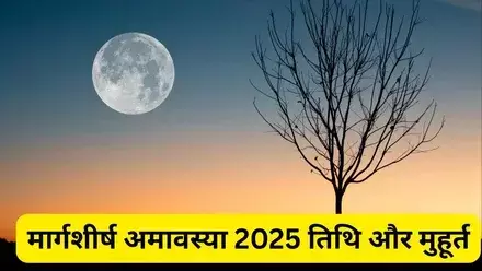 मार्गशीर्ष अमावस्या 2025: 20 नवंबर, स्नान-दान मुहूर्त, पूजा और तर्पण विधि मार्गशीर्ष अमावस्या 2025: 20 नवंबर, स्नान-दान मुहूर्त, पूजा और तर्पण विधि