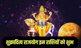 शुक्र गोचर 2026: मकर में प्रवेश से बनेगा शुक्रादित्य योग, इन 3 राशियों की बदल जाएगी तकदीर शुक्र गोचर 2026: मकर में प्रवेश से बनेगा शुक्रादित्य योग, इन 3 राशियों की बदल जाएगी तकदीर